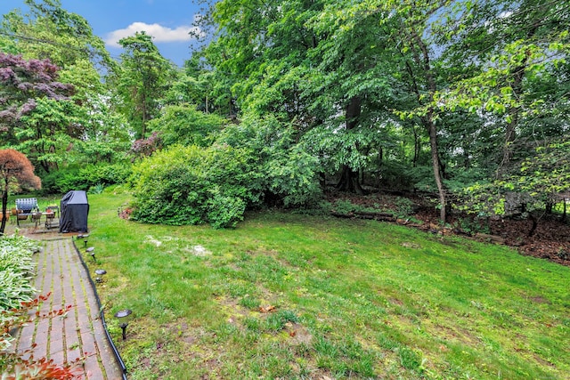 343 Steiner St, Fairfield, CT 06825 - view of green lawn