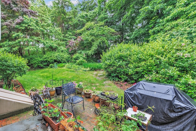 343 Steiner St, Fairfield, CT 06825 - view of grassy yard with a patio