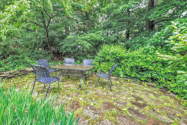 343 Steiner St, Fairfield, CT 06825 - view of yard
