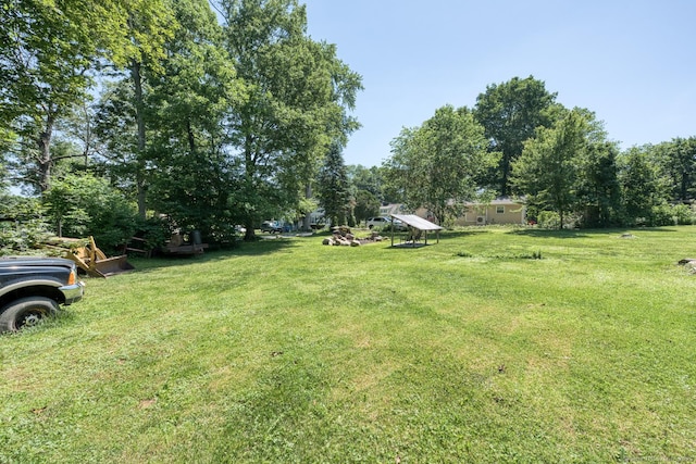 63 Fox Trl, Coventry, CT 06238 - view of green lawn