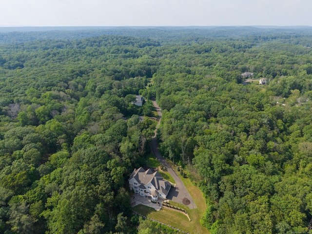 275 Chestnut Grv, Guilford, CT 06437 - aerial view of a heavily wooded area
