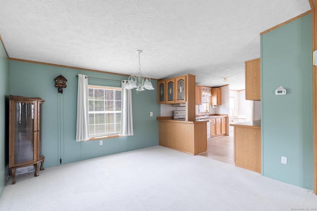 8 Haley Ln, Windham, CT 06256 - kitchen with a chandelier, glass insert cabinets, light carpet, white range with electric stovetop, and a textured ceiling