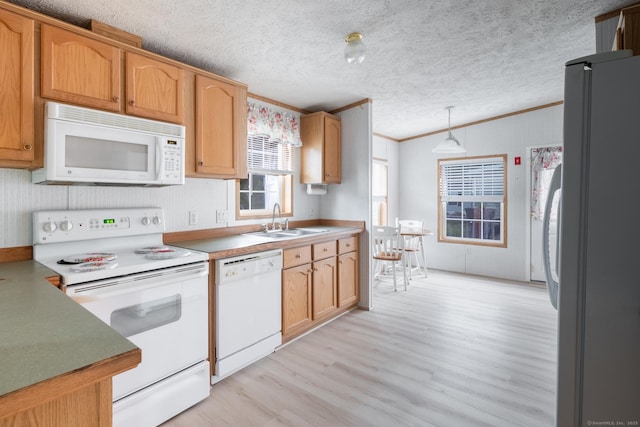 8 Haley Ln, Windham, CT 06256 - kitchen featuring white appliances, ornamental molding, light wood finished floors, pendant lighting, and a textured ceiling