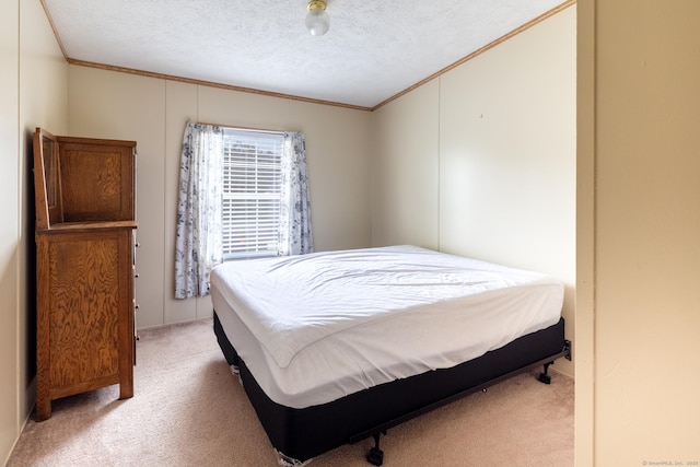 8 Haley Ln, Windham, CT 06256 - bedroom with carpet floors, crown molding, and a textured ceiling