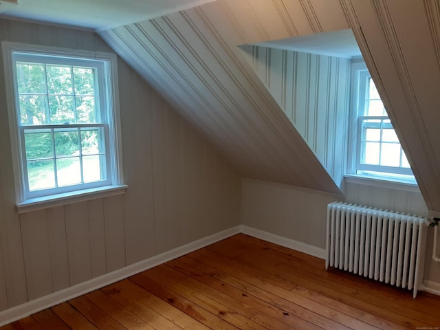 67 Hanover Rd, Newtown, CT 06470 - additional living space with radiator heating unit, hardwood / wood-style flooring, plenty of natural light, and lofted ceiling
