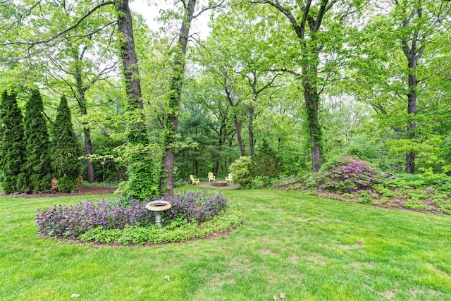 258 Woodland St, Glastonbury, CT 06073 - photo 33