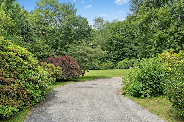 15 Pocconock Trl, New Canaan, CT 06840 - view of road featuring a forest view