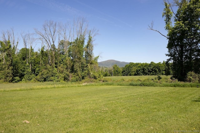 52 Cooper Hill Rd, Salisbury, CT 06068 - view of green lawn featuring a mountain view