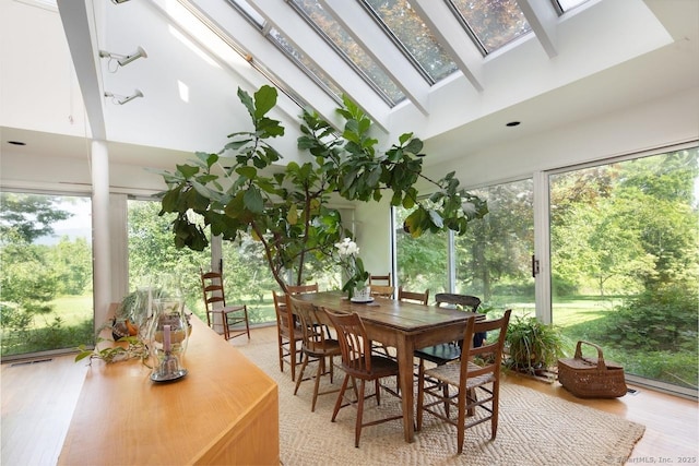 52 Cooper Hill Rd, Salisbury, CT 06068 - sunroom / solarium with a skylight