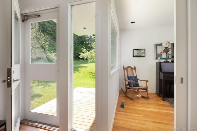 52 Cooper Hill Rd, Salisbury, CT 06068 - doorway with light wood-type flooring and healthy amount of natural light