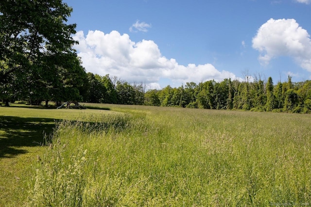 52 Cooper Hill Rd, Salisbury, CT 06068 - view of local wilderness