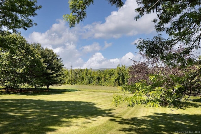 52 Cooper Hill Rd, Salisbury, CT 06068 - view of home's community with a yard