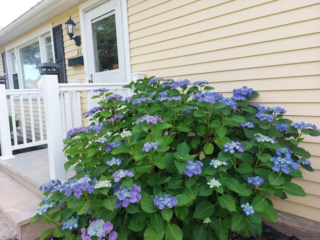 92 Sumac St, West Haven, CT 06516 - exterior view