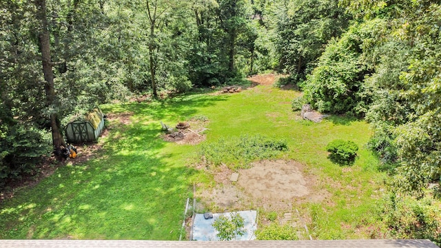 31 Richard Rd, Ledyard, CT 06335 - view of green lawn featuring a shed and a wooded view