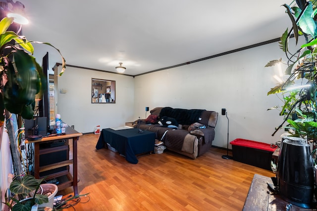 484 First Ave Unit 12, West Haven, CT 06516 - living room with crown molding and light wood finished floors