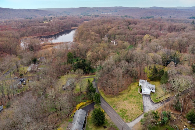 7 Side Hill Ln, Danbury, CT 06810 - photo 23