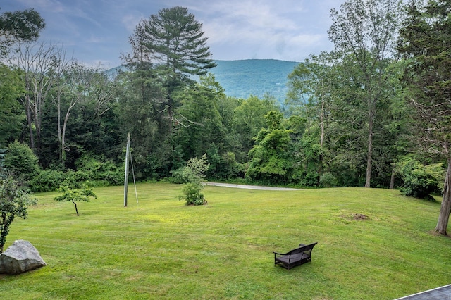 15 Guinea Rd, Sharon, CT 06069 - photo 14