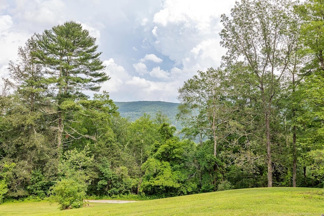 15 Guinea Rd, Sharon, CT 06069 - photo 16