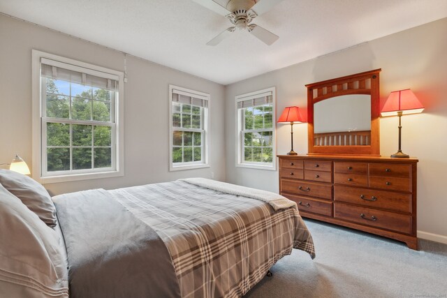 8 Lookout Lndg, Ellington, CT 06029 - photo 27