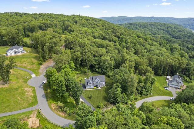 257 Ichabod Rd, Southbury, CT 06488 - aerial view of property's location with a forest