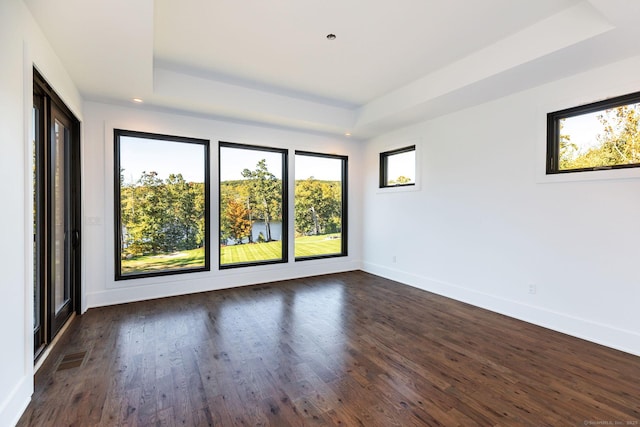 103 Chalybes Rd W, Roxbury, CT 06783 - empty room featuring a tray ceiling, dark wood-style flooring, and recessed lighting