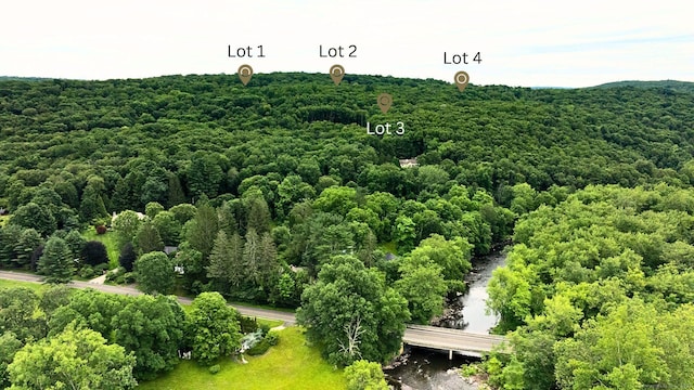 103 Chalybes Rd W, Roxbury, CT 06783 - aerial view of a notable bridge and a heavily wooded area
