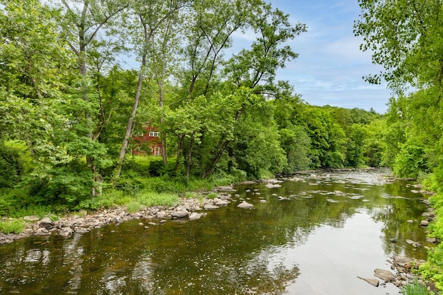103 Chalybes Rd W, Roxbury, CT 06783 - water view with a forest