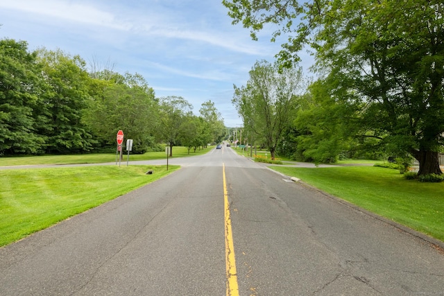 103 Chalybes Rd W, Roxbury, CT 06783 - view of asphalt road