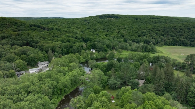 103 Chalybes Rd W, Roxbury, CT 06783 - aerial view of property and surrounding area with a forest