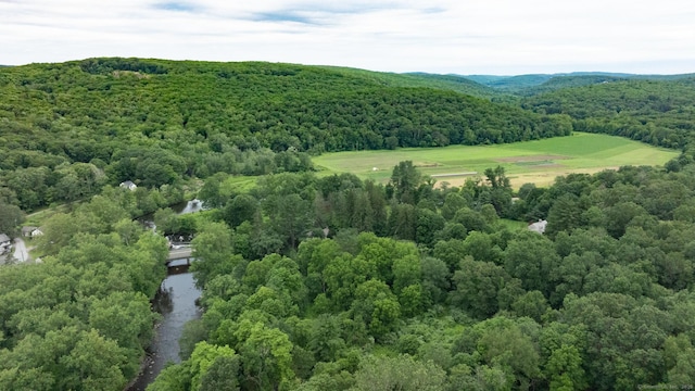 103 Chalybes Rd W, Roxbury, CT 06783 - aerial view of a forest