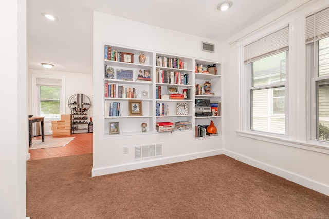 48 Livingston St, New Haven, CT 06511 - living area with carpet and recessed lighting