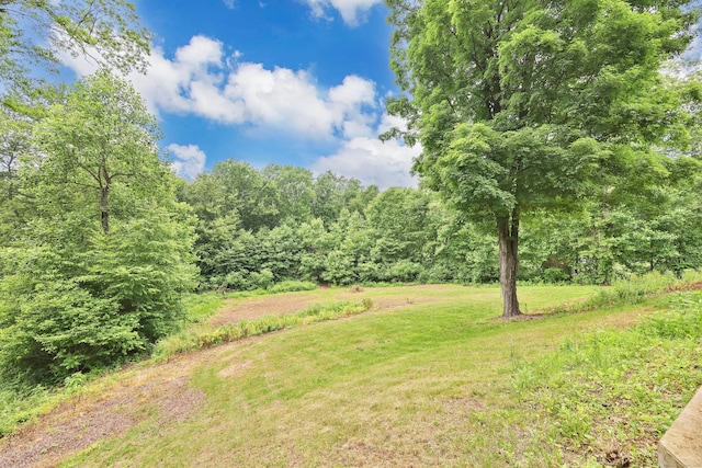 1117 N Grand St, Suffield, CT 06093 - view of grassy yard with a view of trees
