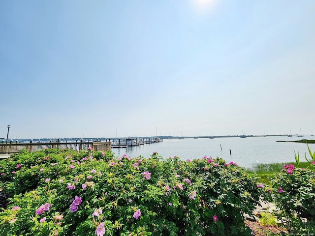 73 Harbour View Pl Unit 73, Stratford, CT 06615 - water view