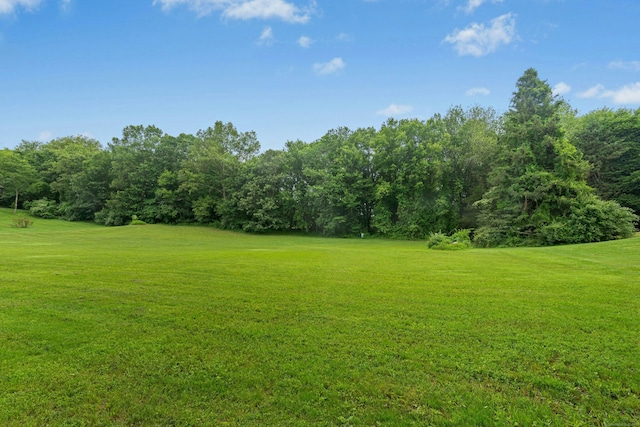 1027 Monroe Tpke, Monroe, CT 06468 - view of grassy yard