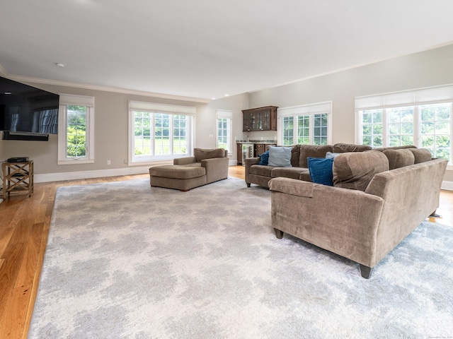 26 Ruscoe Rd, Wilton, CT 06897 - living room featuring wood finished floors and crown molding
