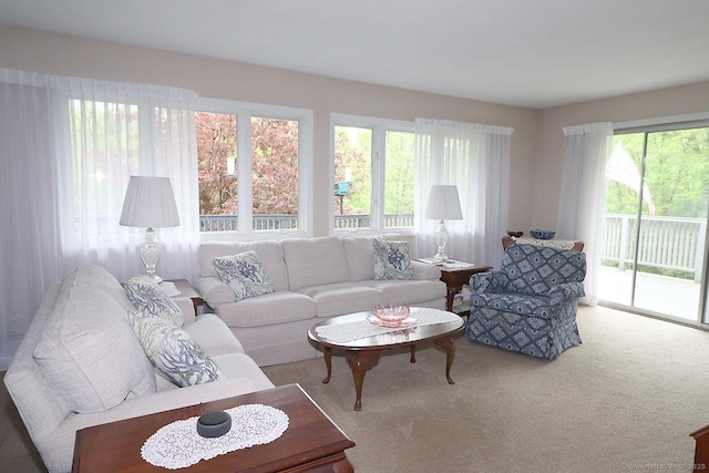 204 W Hill Rd, New Hartford, CT 06057 - living room with carpet flooring