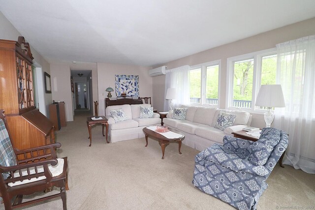 204 W Hill Rd, New Hartford, CT 06057 - living area featuring carpet and a wall mounted AC