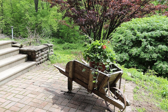 204 W Hill Rd, New Hartford, CT 06057 - view of community with a patio