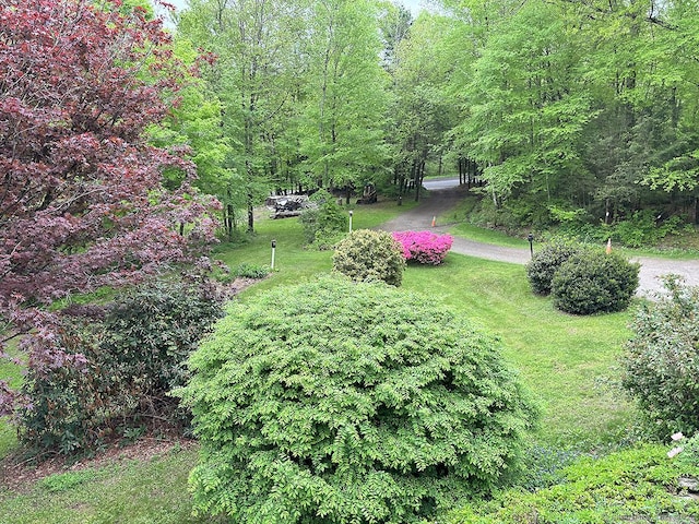 204 W Hill Rd, New Hartford, CT 06057 - view of green lawn
