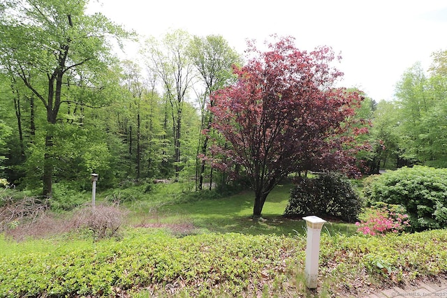 204 W Hill Rd, New Hartford, CT 06057 - view of yard