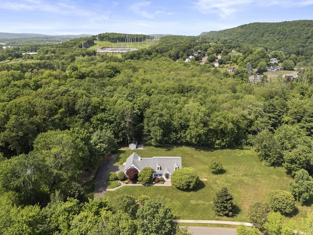 8 Marie Ln, Wallingford, CT 06492 - bird's eye view of a forest