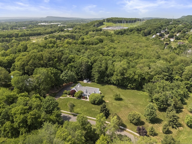 8 Marie Ln, Wallingford, CT 06492 - view from above of property with a forest
