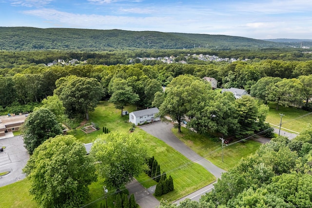 1376 W St, Southington, CT 06489 - aerial view of a heavily wooded area