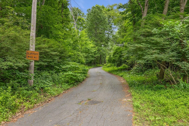 12 Haas Rd, Somers, CT 06071 - view of road