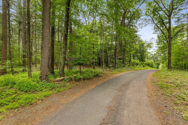 12 Haas Rd, Somers, CT 06071 - view of road with a wooded view