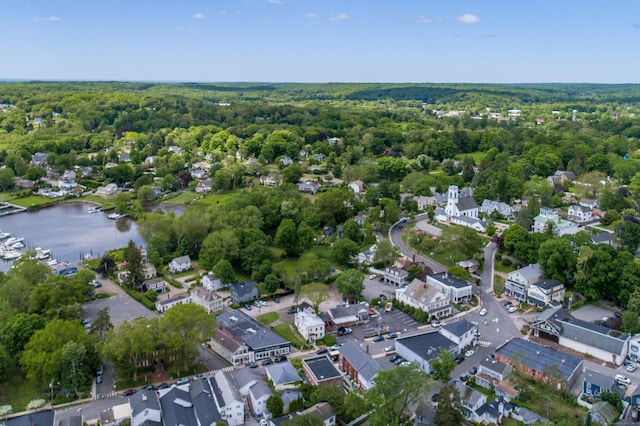 3 Essex Sq, Essex, CT 06426 - view of property location with a forest and nearby suburban area