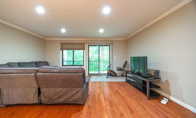 19 Heather Ct Unit 19, Cromwell, CT 06416 - living room with crown molding, light wood-style flooring, and recessed lighting
