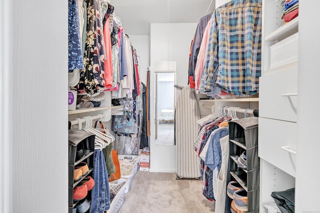 31 Stable Ridge Rd, Monroe, CT 06468 - walk in closet with carpet floors