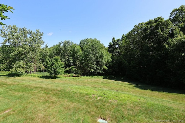 9 Meadowview Ct Unit 9, Canton, CT 06019 - view of green lawn with a wooded view