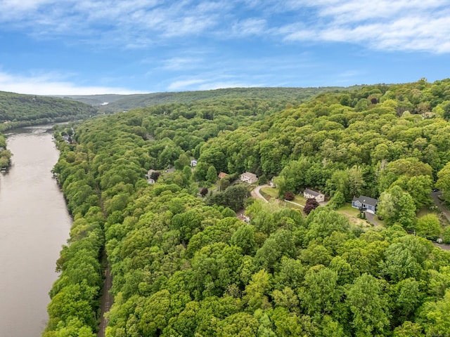 30 Rodia Ridge Rd, Shelton, CT 06484 - photo 37